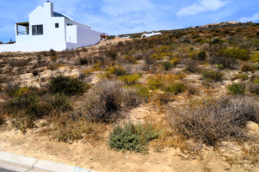 0 Bedroom Property for Sale in Steenbergs Cove Western Cape